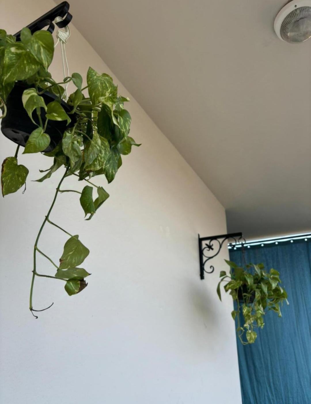 2 Appartement Hurghada